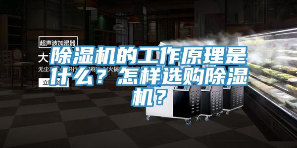 除濕機(jī)的工作原理是什么？怎樣選購(gòu)除濕機(jī)？